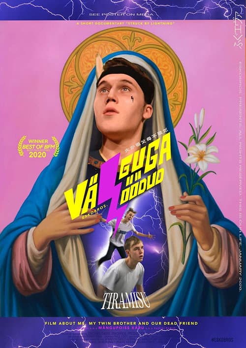 Poster for Struck by Lightning