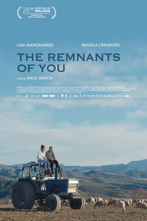 Poster for The Remnants of You