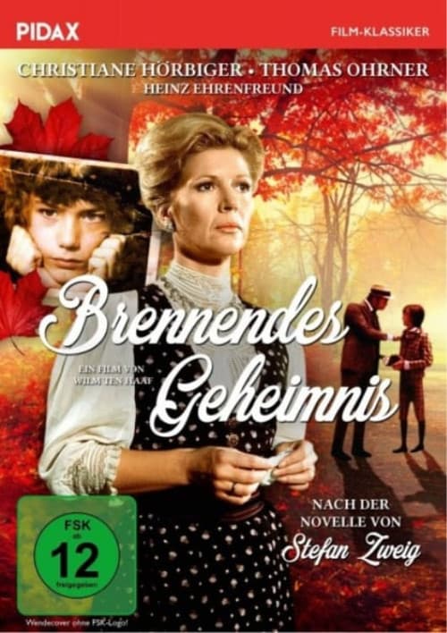 Poster for Brennendes Geheimnis