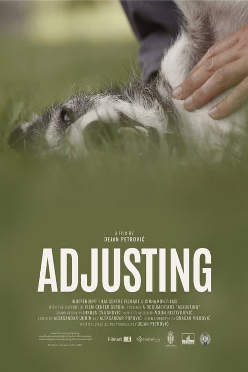 Poster for Adjusting