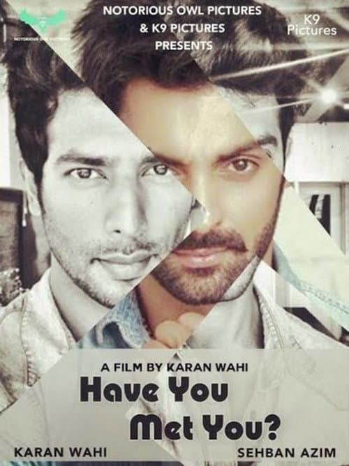 Poster for Have You Met You