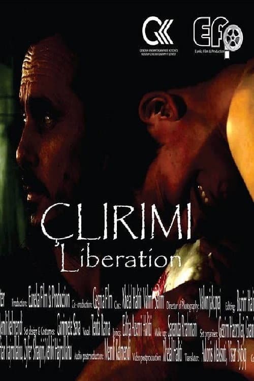Poster for Liberation