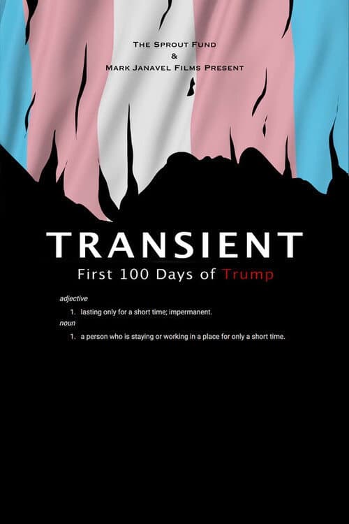 Poster for Transient