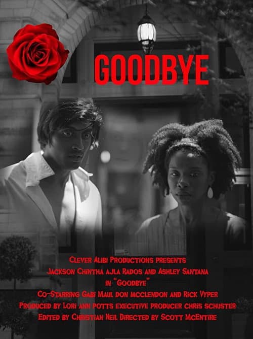 Poster for Goodbye