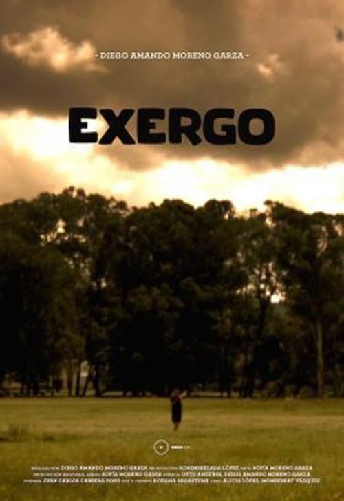 Poster for Exergo