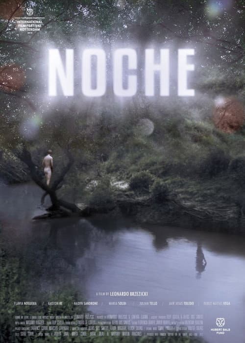 Poster for Night