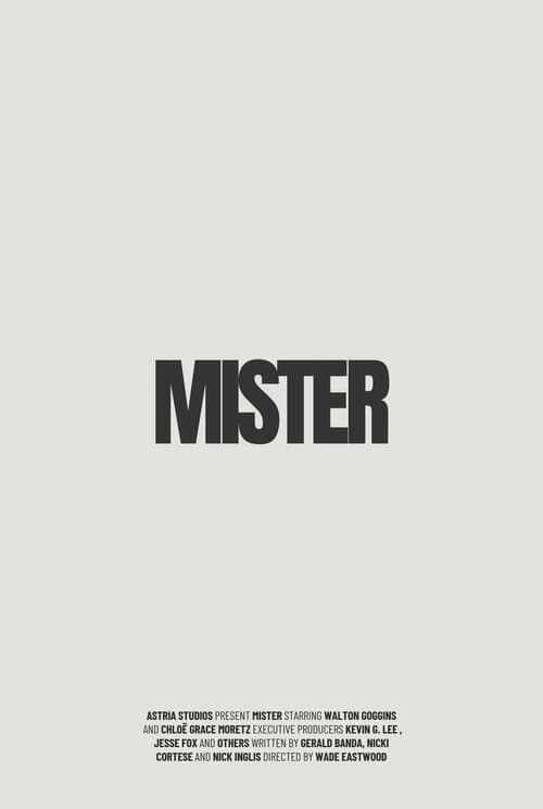 Poster for Mister