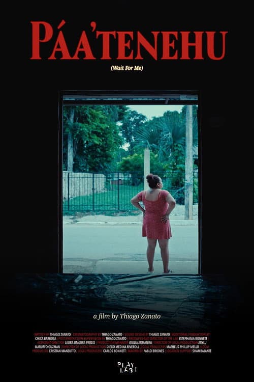 Poster for Wait For Me