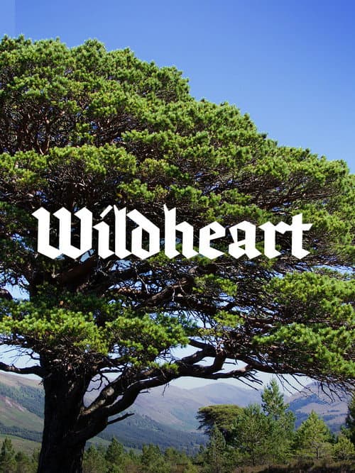 Poster for Wildheart