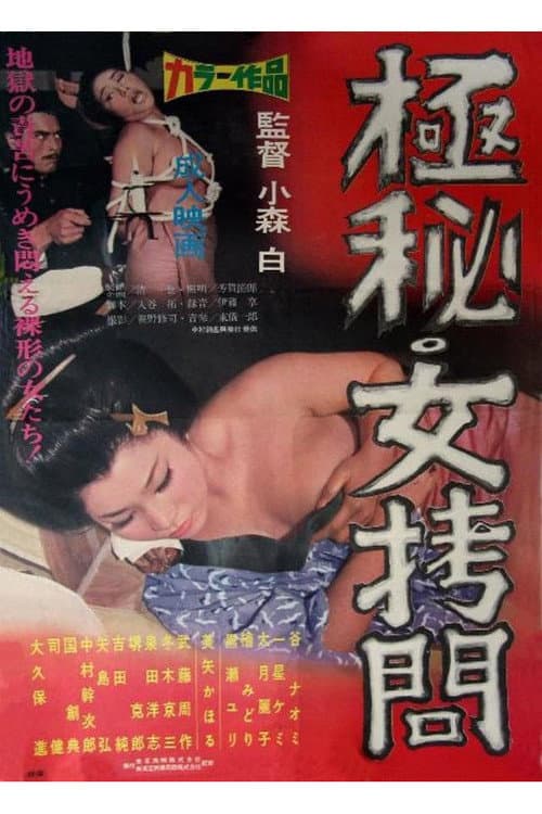 Poster for Absolutely Secret: Girl Torture