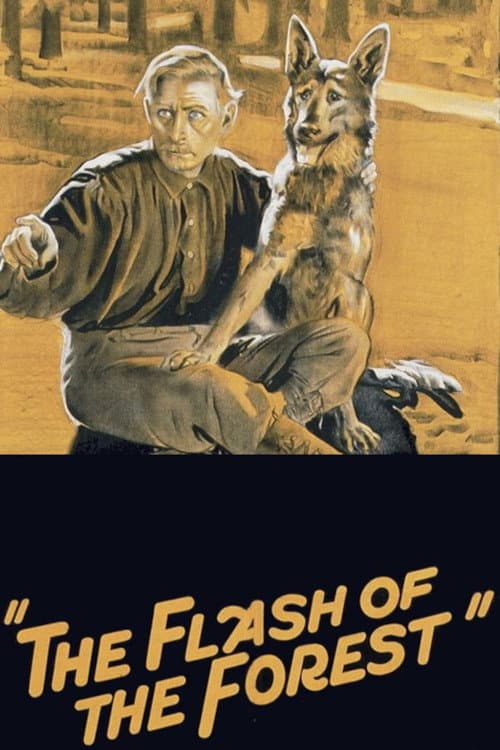 Poster for The Flash of the Forest