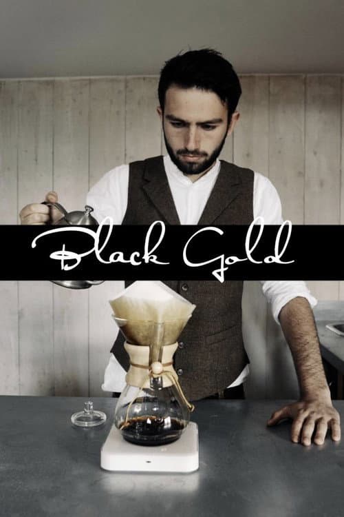 Poster for Black Gold
