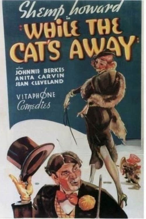 Poster for While the Cat's Away