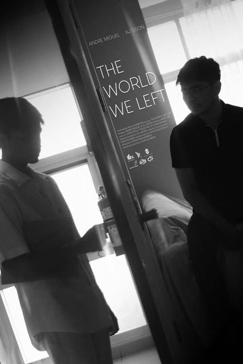 Poster for The World We Left