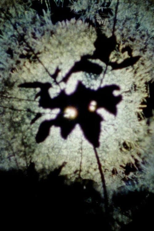 Poster for Spark from a Falling Star