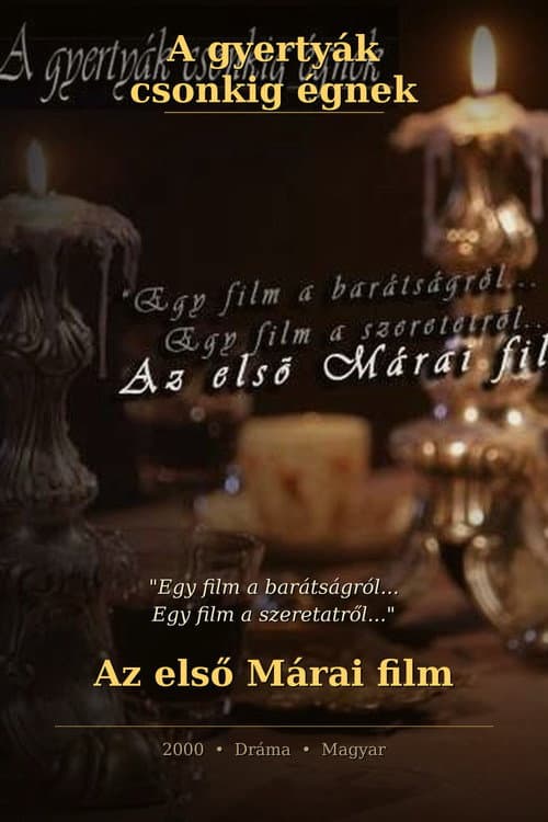 Poster for Embers