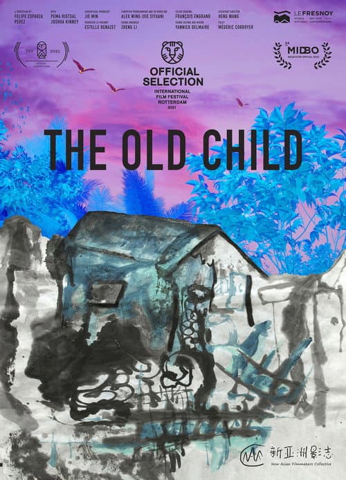 Poster for The Old Child
