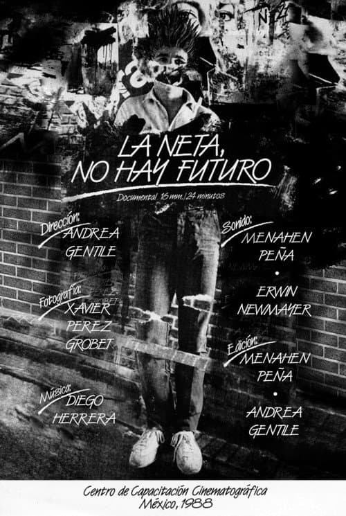 Poster for In Fact, There is not Future