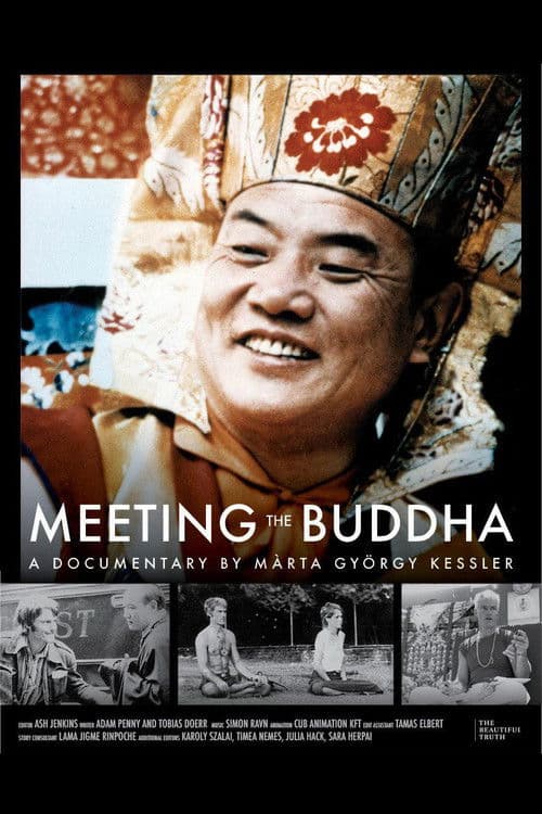 Poster for Meeting the Buddha