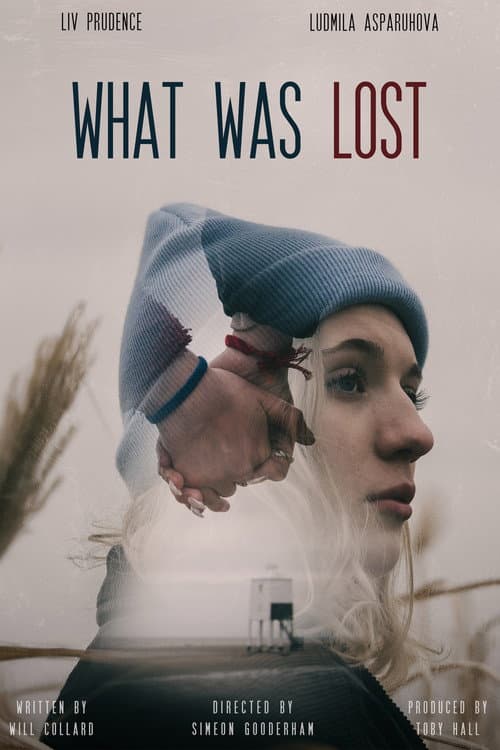 Poster for What Was Lost
