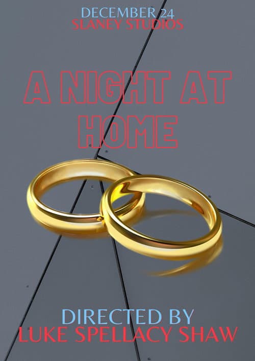 Poster for A Night at Home