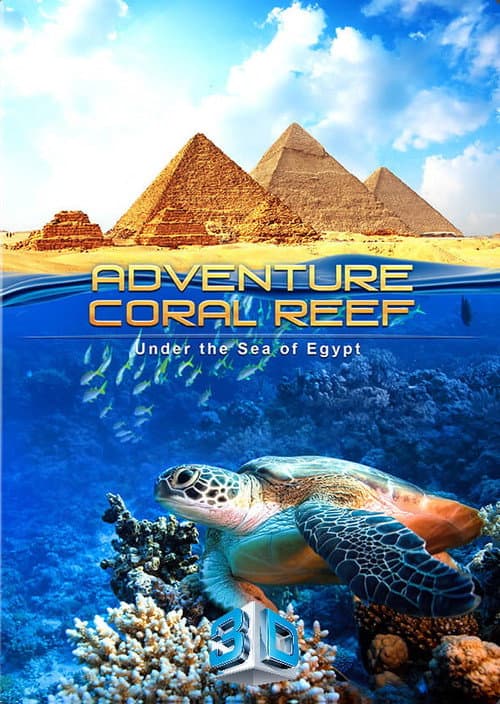 Poster for Adventure Coral Reef 3D - Under the Sea of Egypt