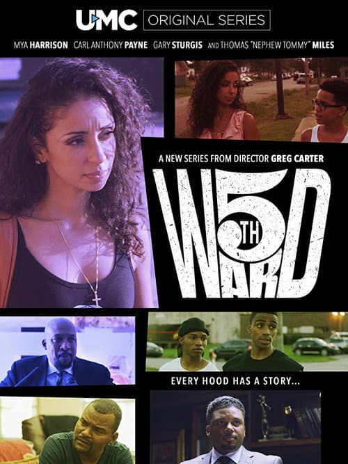 Poster for 5th Ward
