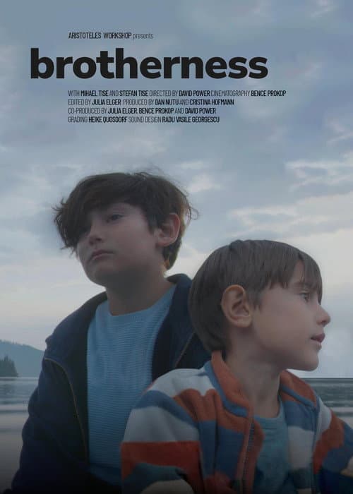 Poster for Brotherness