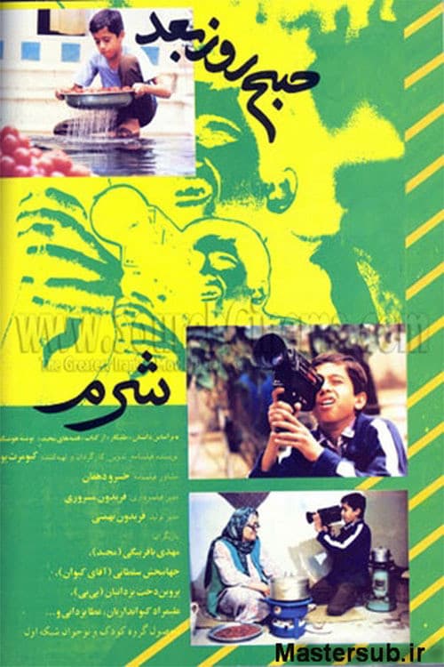 Poster for Shame