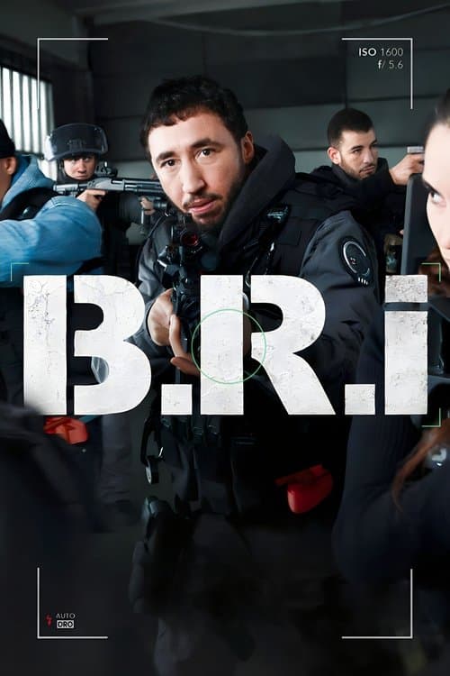 Poster for The Brigade