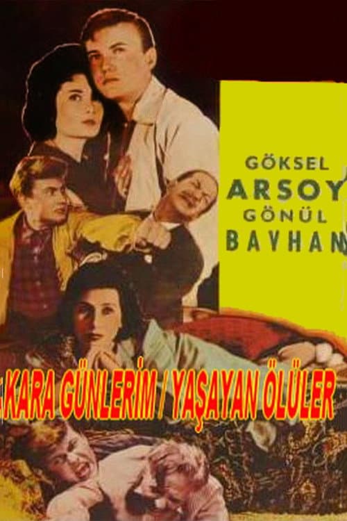 Poster for Kara Günlerim