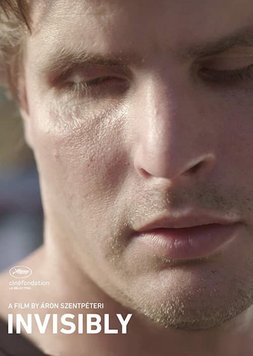 Poster for Invisibly
