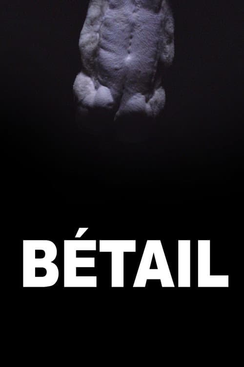 Poster for Bétail