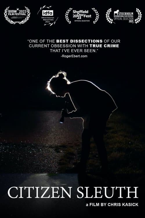 Poster for Citizen Sleuth