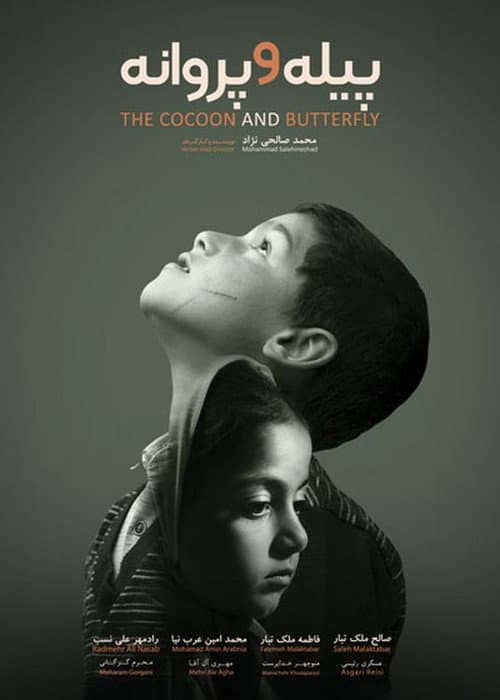 Poster for The Cocoon & Butterfly