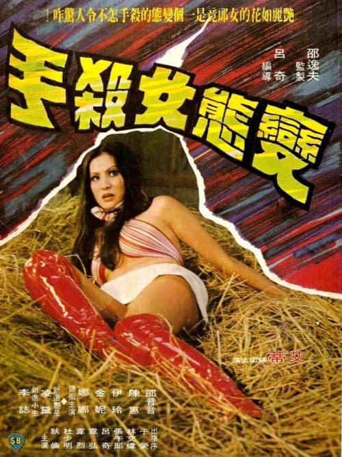 Poster for Mysterious Lady Killer