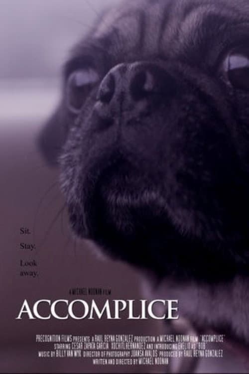 Poster for Accomplice