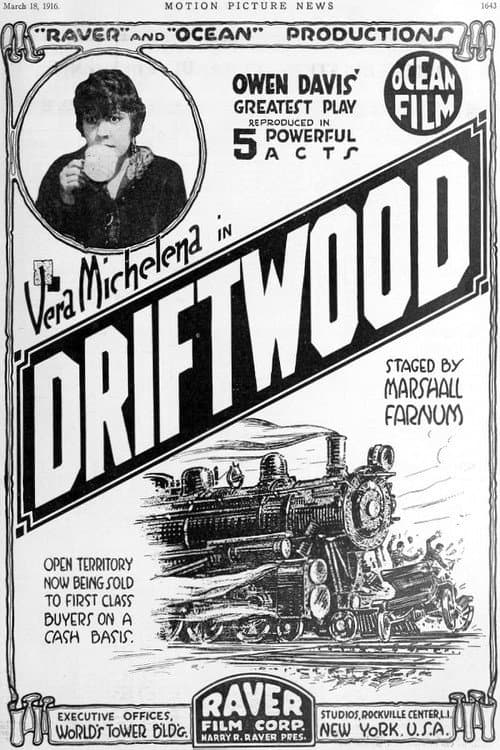 Poster for Driftwood