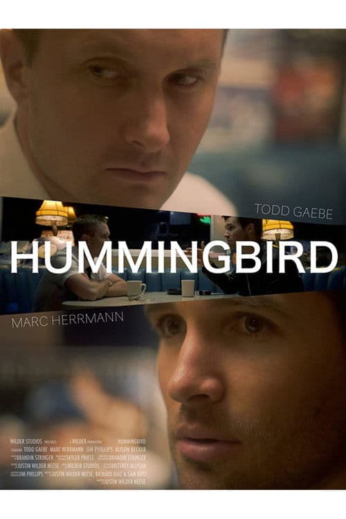 Poster for Hummingbird