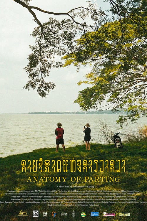 Poster for Anatomy of Parting
