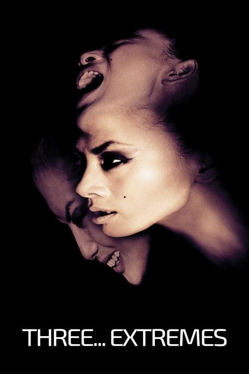 Poster for Three... Extremes