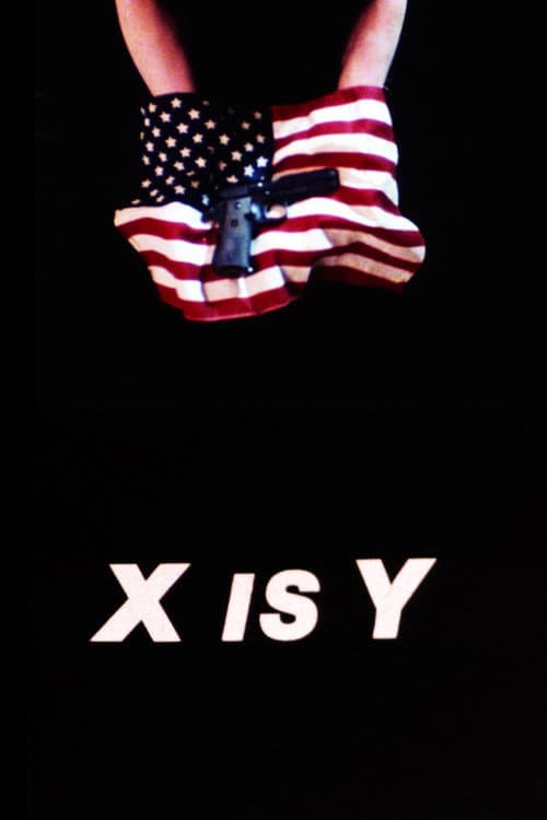Poster for X Is Y