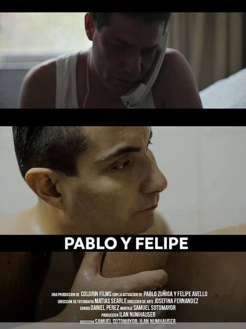 Poster for Pablo y Felipe
