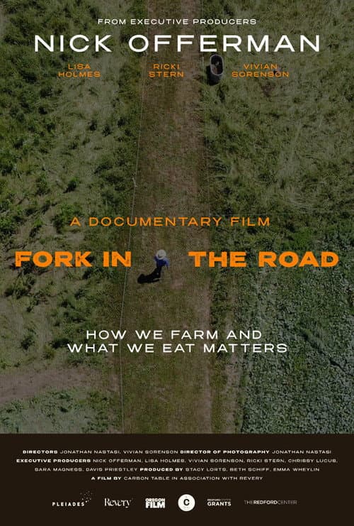 Poster for Fork in the Road