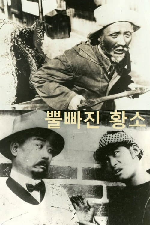 Poster for An Ox without Horn