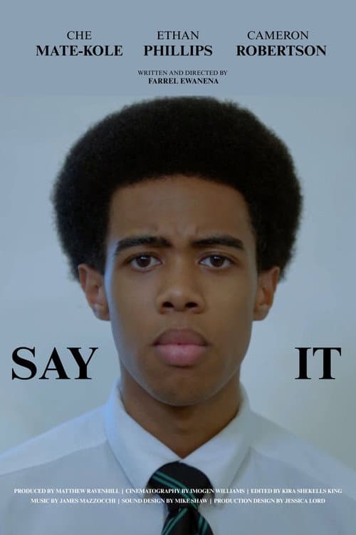 Poster for Say It
