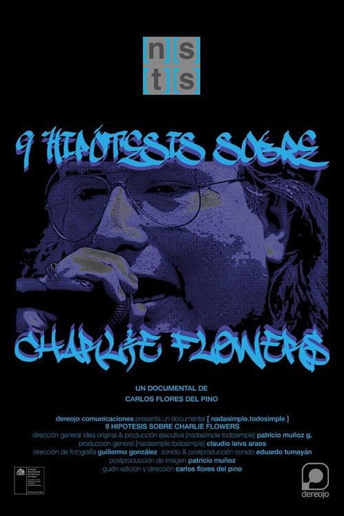 Poster for Nine Hypotheses about Charlie Flowers