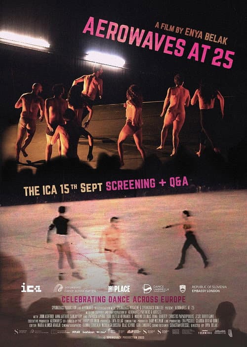 Poster for Aerowaves at 25