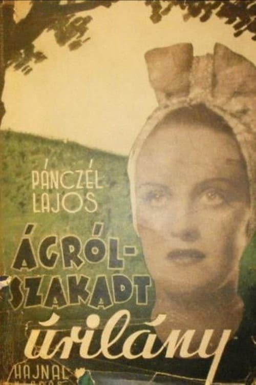 Poster for Lady Over the Abyss