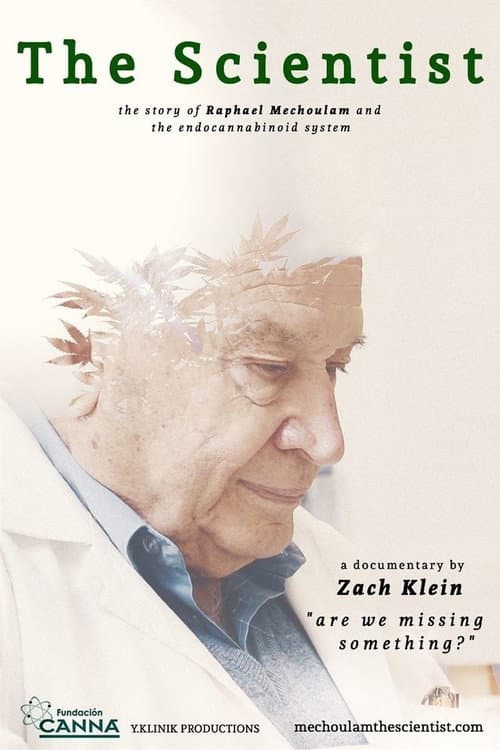 Poster for The Scientist: Are We Missing Something?